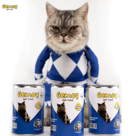 Gambar produk Gemoy Wet Food Kaleng Adult